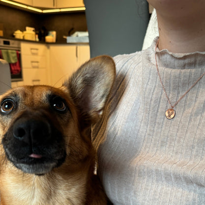 Collar personalizado con rostro de mascota